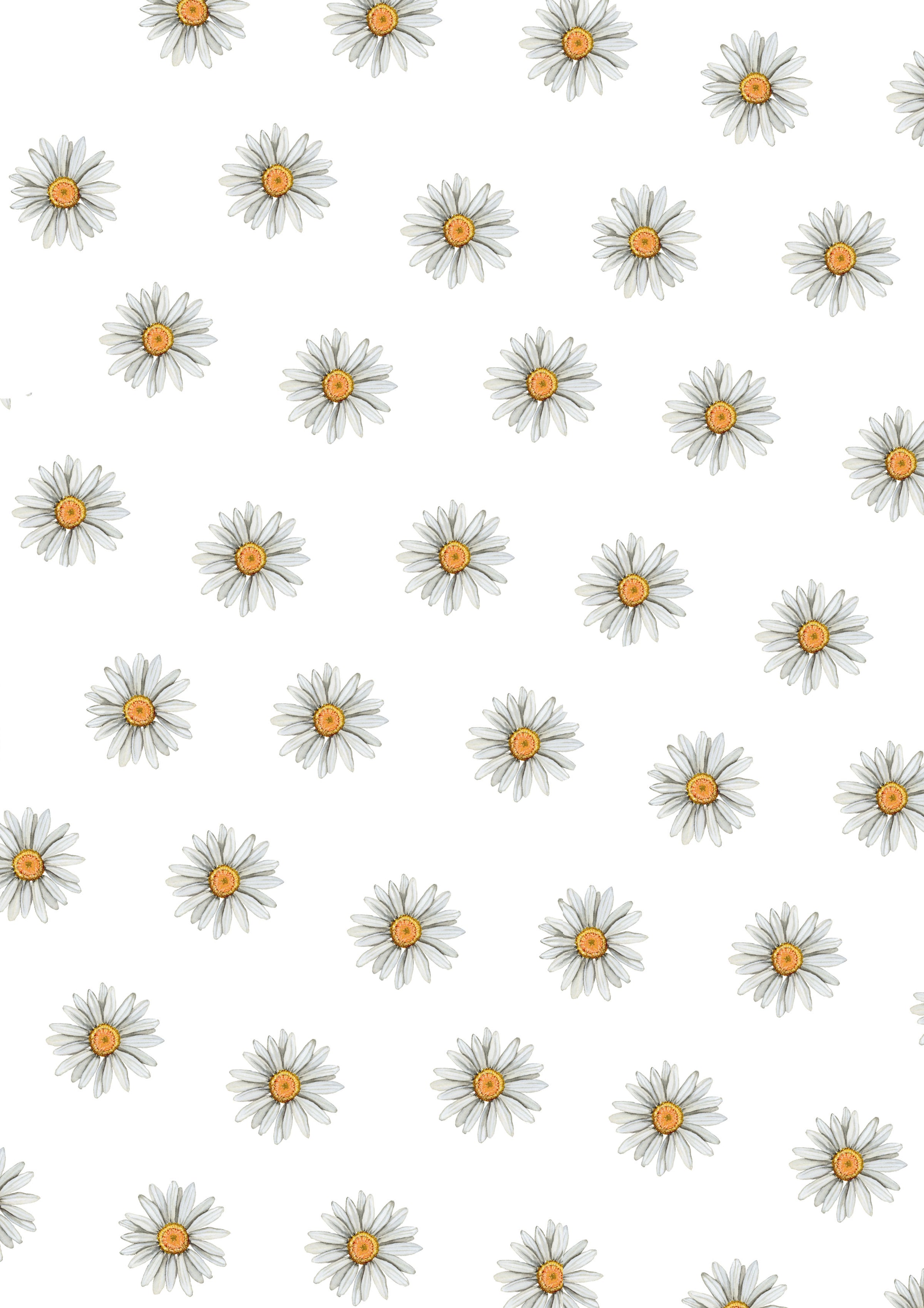 Mini Daisies