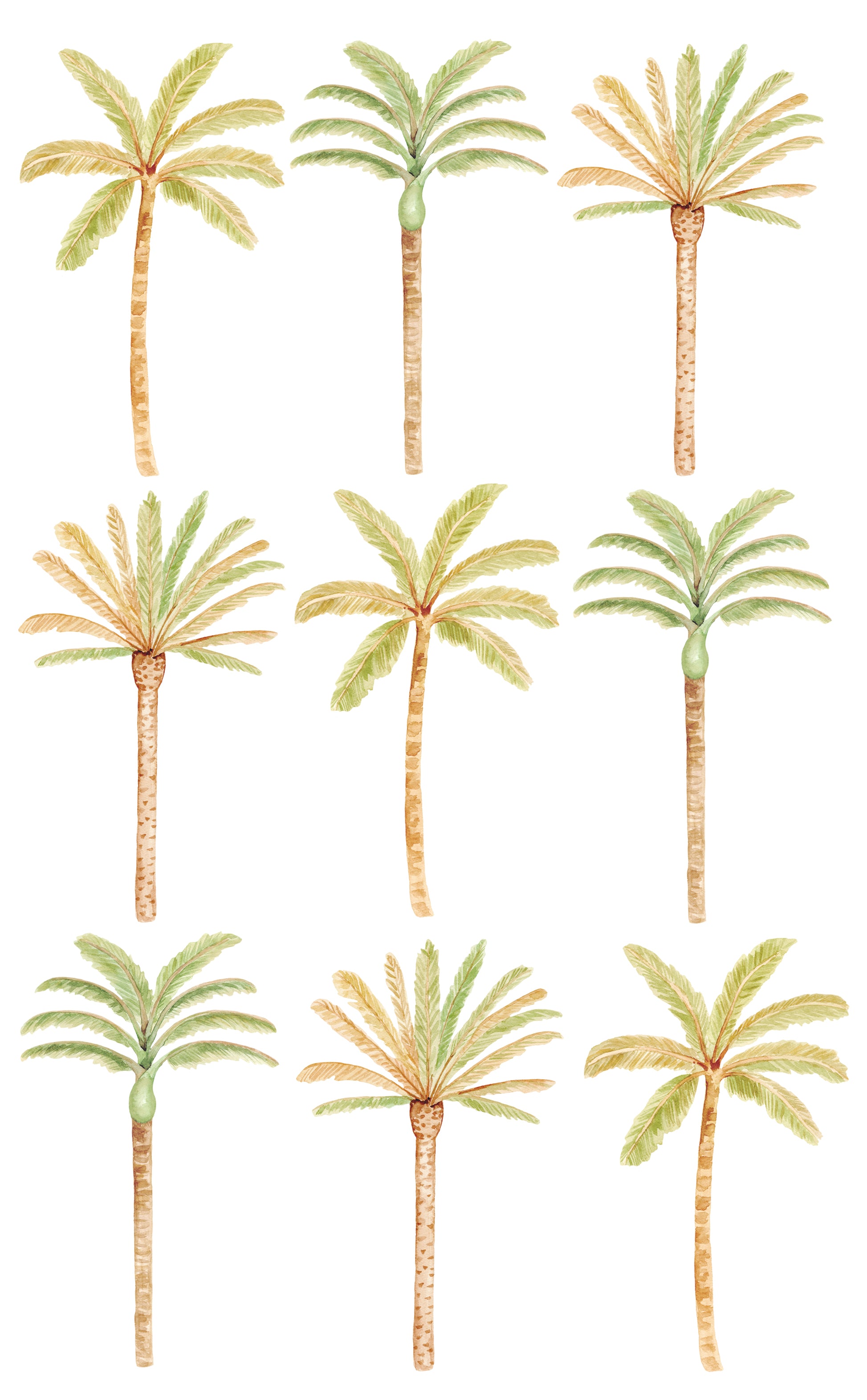 Watercolour palm tree wall decals for kids rooms and nurseries
