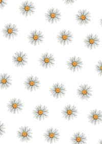 New Daisies