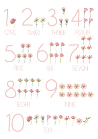 123 Print - Falling Flowers