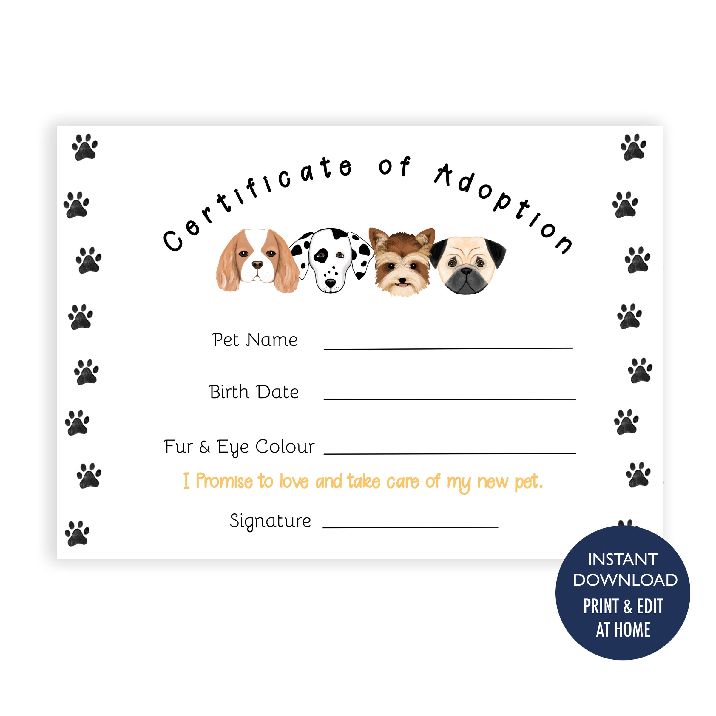 Adopt A Puppy Certificate – Sailah Lane - Main Image