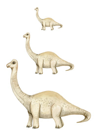 Brachiosaurus Wall Stickers