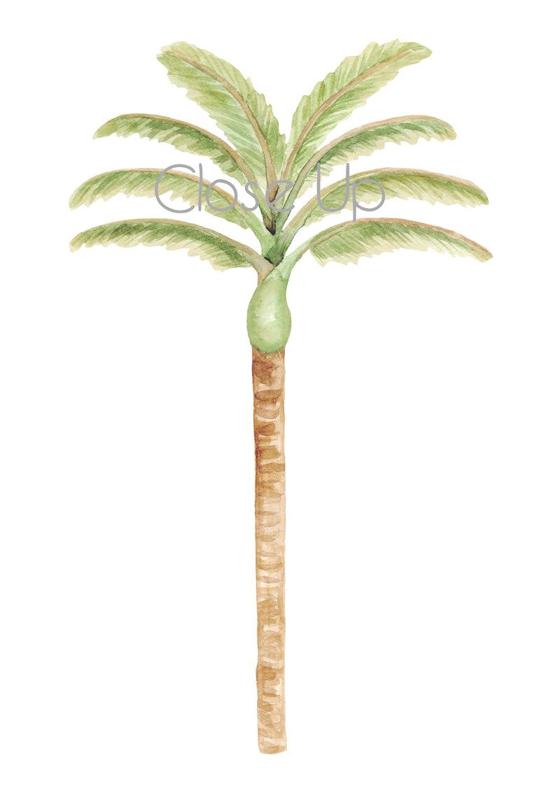 Happy Palm Wall Stickers- Green Mixed