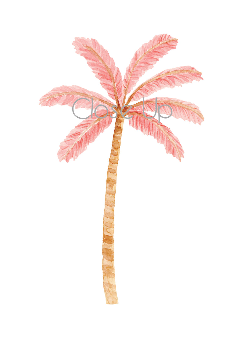 Happy Palms - Sailah Palm Pink