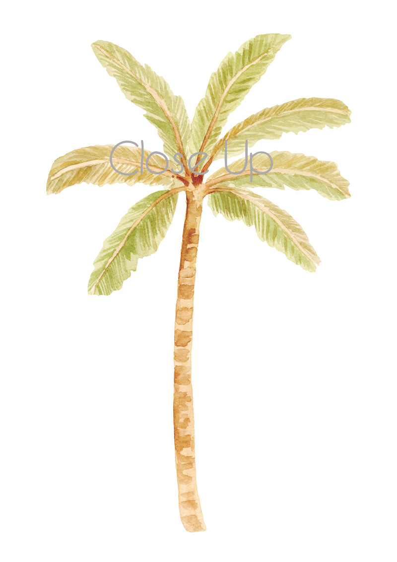 Happy Palm Wall Stickers- Green Mixed