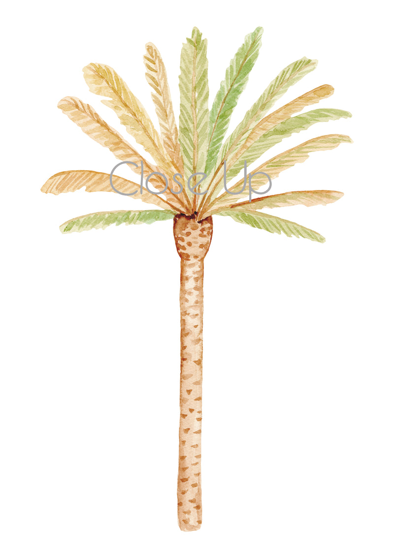 Happy Palm Wall Stickers- Green Mixed