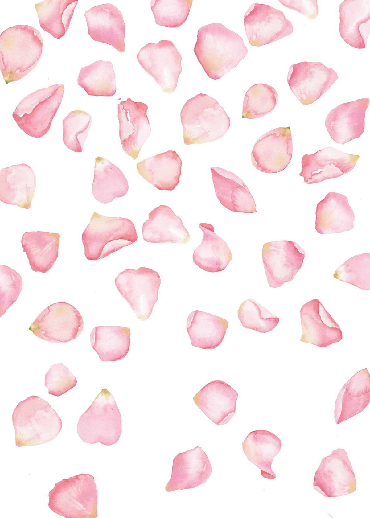 Falling Petals wall stickers – Sailah Lane