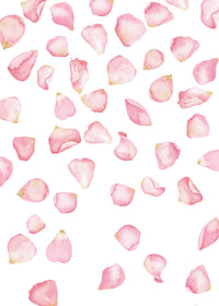 Falling Petals wall stickers