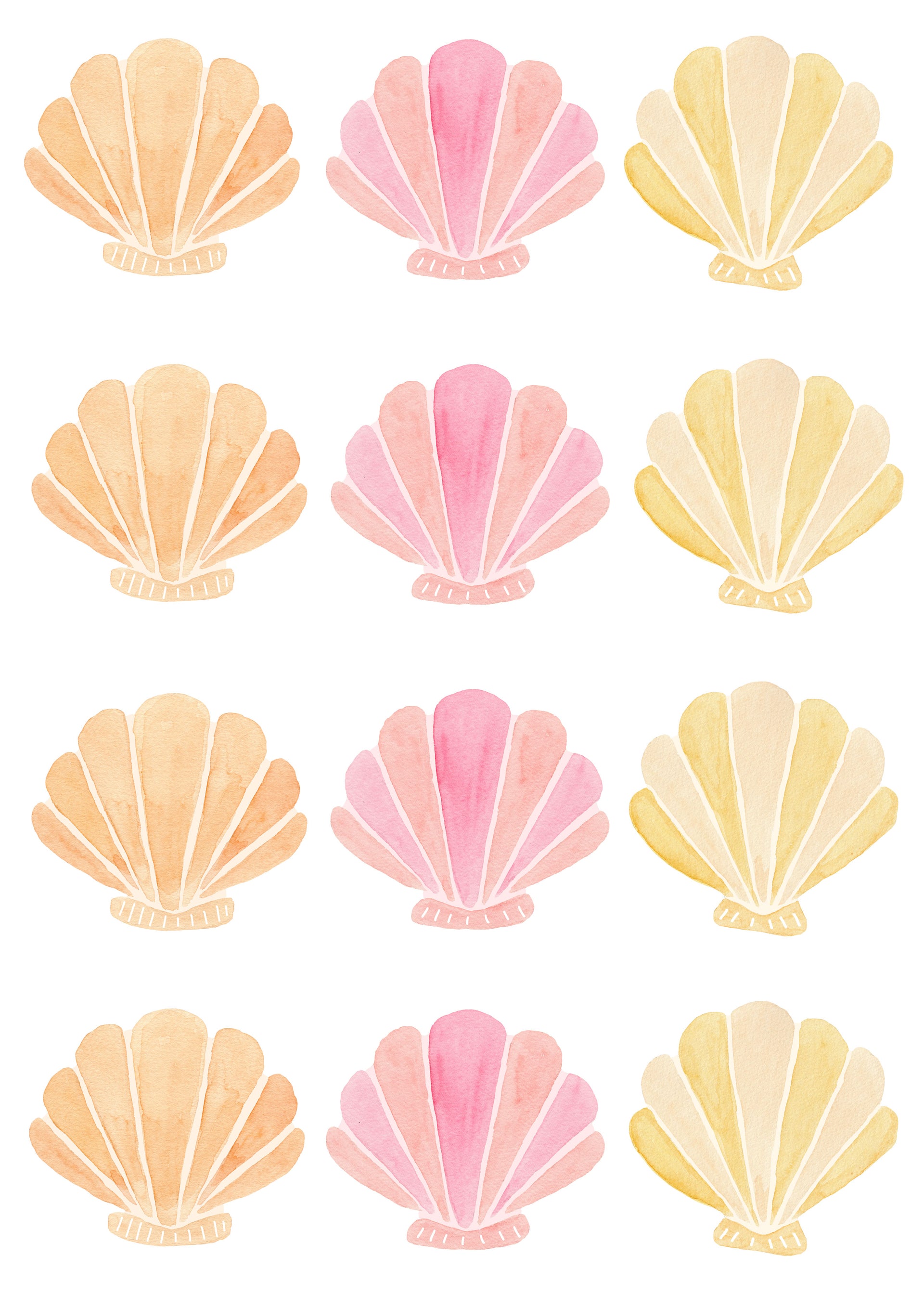 Shell Wall Stickers - Reusable – Sailah Lane