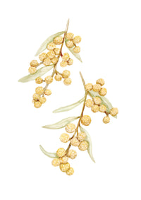 Calming Wattle Print