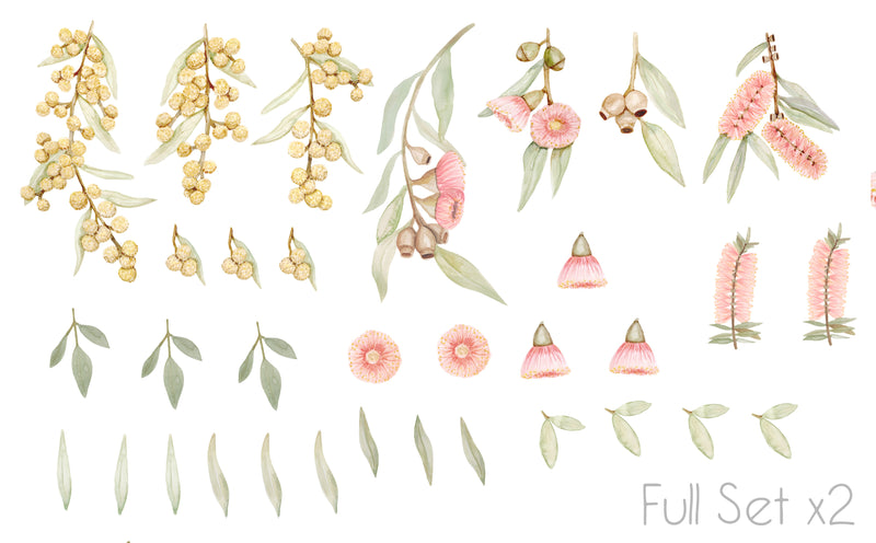 Australian Flora Wall Stickers