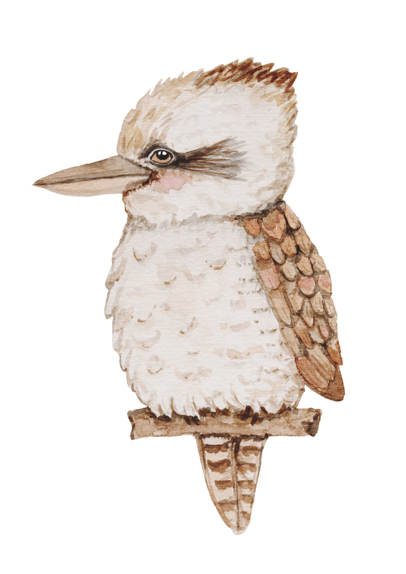 Kooka Print