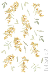 Wattle Wall Stickers