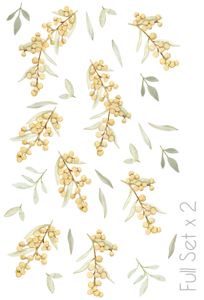 Wattle Wall Stickers