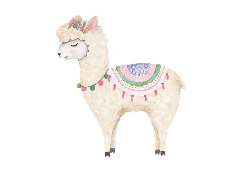 Lucy Llama